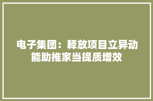 电子集团：释放项目立异动能助推家当提质增效