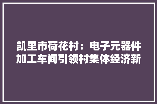 凯里市荷花村：电子元器件加工车间引领村集体经济新飞跃
