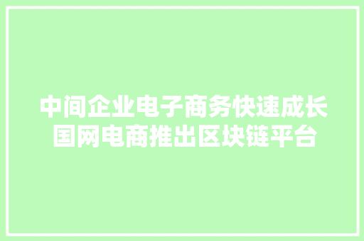 中间企业电子商务快速成长 国网电商推出区块链平台等9大年夜产品
