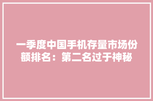 一季度中国手机存量市场份额排名：第二名过于神秘