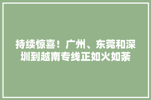 持续惊喜！广州、东莞和深圳到越南专线正如火如荼