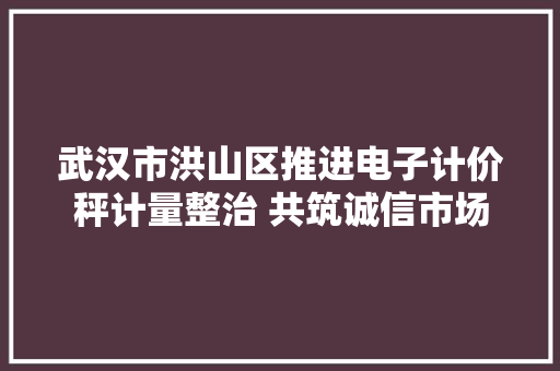 武汉市洪山区推进电子计价秤计量整治 共筑诚信市场 武汉市洪山区推进电子计价秤计量整治 共筑诚信市场 智能科技