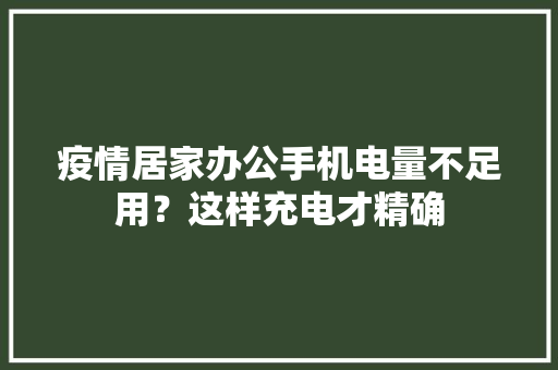 疫情居家办公手机电量不足用？这样充电才精确 疫情居家办公手机电量不足用？这样充电才精确 智能家居