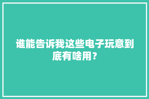 谁能告诉我这些电子玩意到底有啥用？