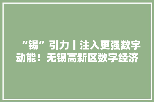 “锡”引力丨注入更强数字动能！无锡高新区数字经济赛道再构造