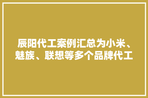 辰阳代工案例汇总为小米、魅族、联想等多个品牌代工