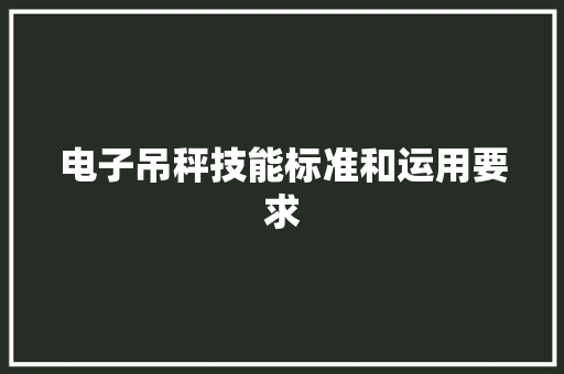 电子吊秤技能标准和运用要求