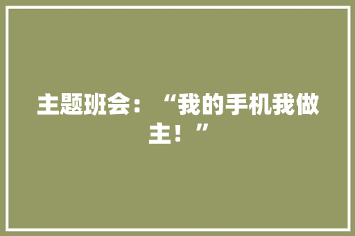主题班会：“我的手机我做主！”