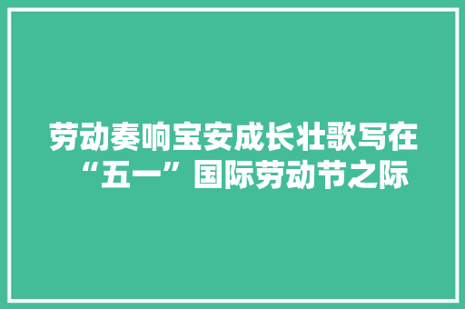 劳动奏响宝安成长壮歌写在“五一”国际劳动节之际