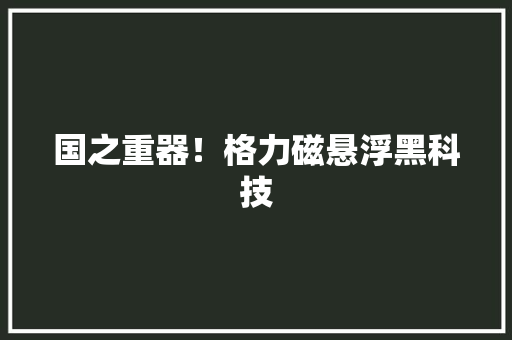 国之重器！格力磁悬浮黑科技