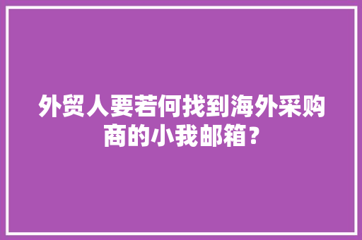 外贸人要若何找到海外采购商的小我邮箱？