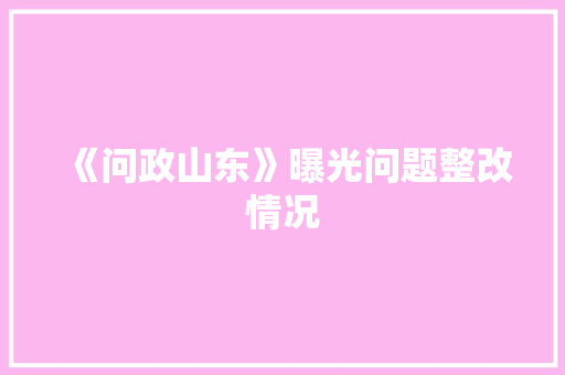 《问政山东》曝光问题整改情况