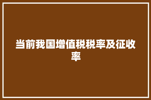 当前我国增值税税率及征收率,税率的计算公式。
