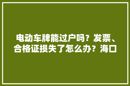 电动车牌能过户吗？发票、合格证损失了怎么办？海口公安交警威信解答,电动汽车十大名牌排名及价格。