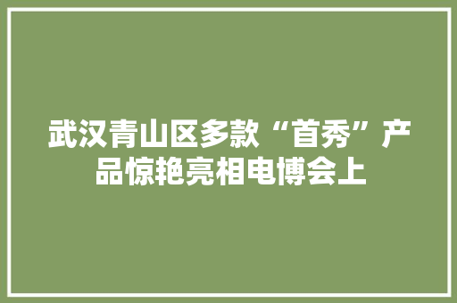 武汉青山区多款“首秀”产品惊艳亮相电博会上