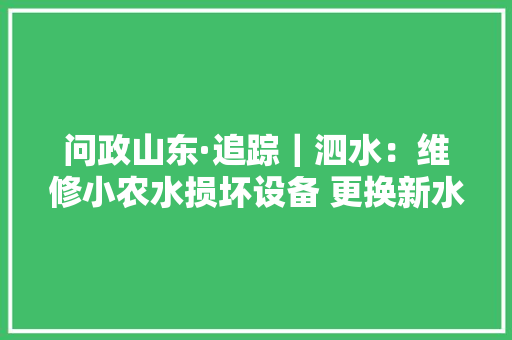 问政山东·追踪｜泗水：维修小农水损坏设备 更换新水泵