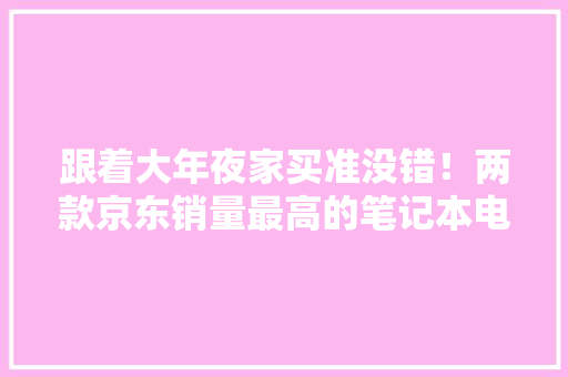 跟着大年夜家买准没错！两款京东销量最高的笔记本电脑