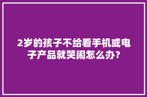 2岁的孩子不给看手机或电子产品就哭闹怎么办？
