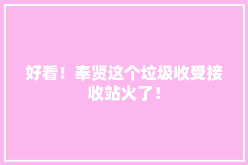 好看！奉贤这个垃圾收受接收站火了！ 好看！奉贤这个垃圾收受接收站火了！ 人工智能