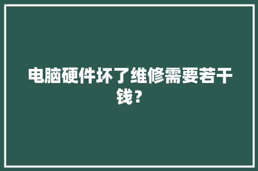 电脑硬件坏了维修需要若干钱？