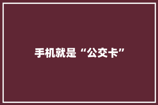 手机就是“公交卡”