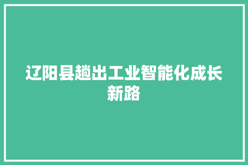 辽阳县趟出工业智能化成长新路