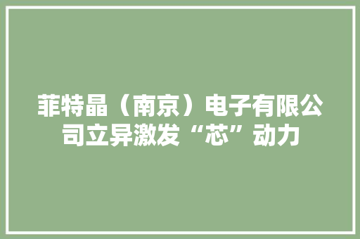 菲特晶（南京）电子有限公司立异激发“芯”动力