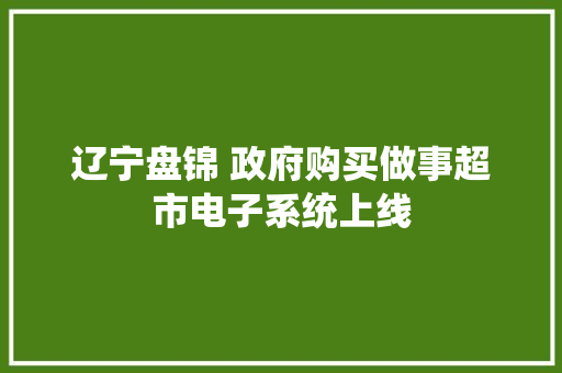 辽宁盘锦 政府购买做事超市电子系统上线