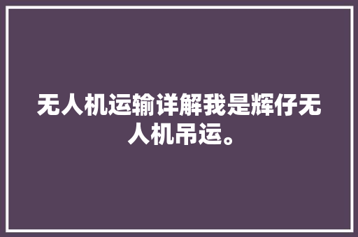 无人机运输详解我是辉仔无人机吊运。