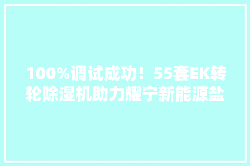 100%调试成功！55套EK转轮除湿机助力耀宁新能源盐城建湖基地