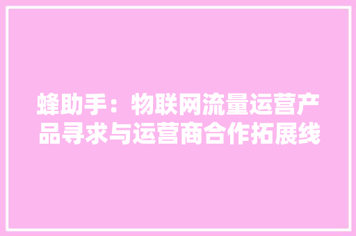蜂助手：物联网流量运营产品寻求与运营商合作拓展线下门店发卖渠道及海外市场