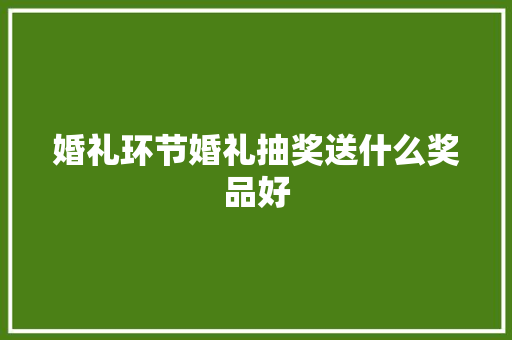 婚礼环节婚礼抽奖送什么奖品好 婚礼环节婚礼抽奖送什么奖品好 智能家居
