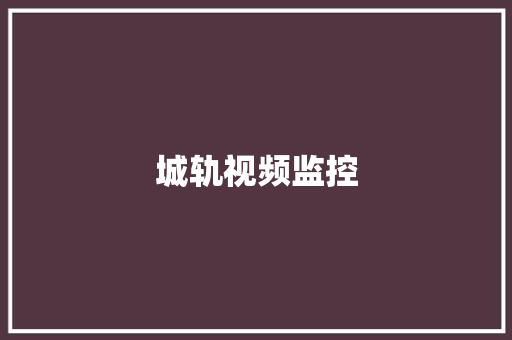 城轨视频监控