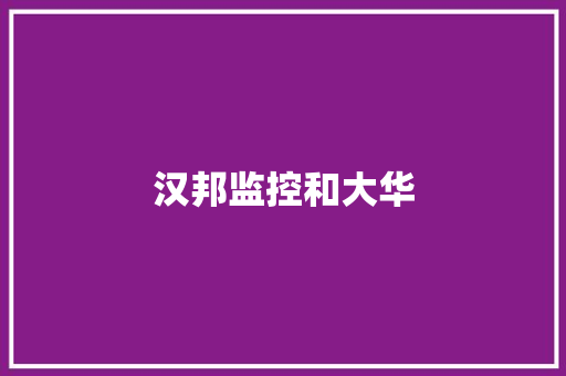 汉邦监控和大华