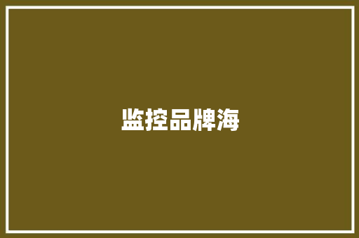 监控品牌海 监控品牌海 人工智能