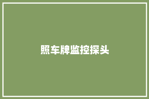照车牌监控探头