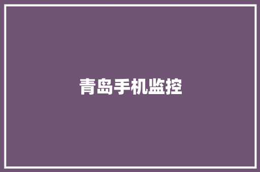 青岛手机监控