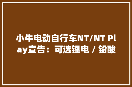 小牛电动自行车NT/NT Play宣告：可选锂电 / 铅酸4499元起
