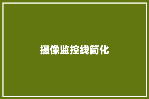 摄像监控线简化