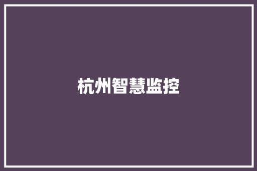 杭州智慧监控