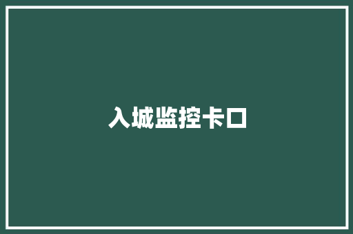 入城监控卡口 入城监控卡口 人工智能