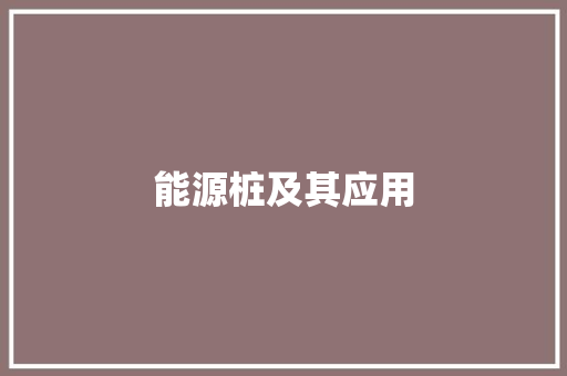 能源桩及其应用