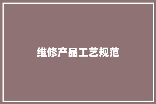 维修产品工艺规范