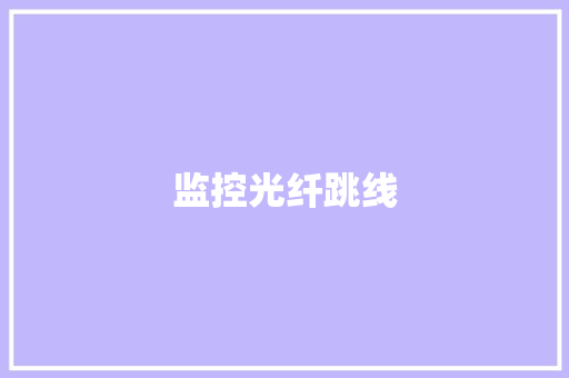 监控光纤跳线