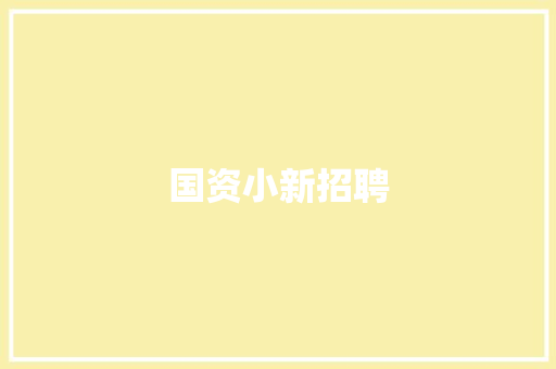 国资小新招聘