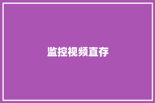 监控视频直存