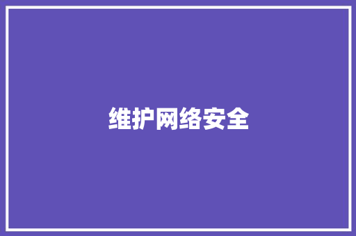 维护网络安全 维护网络安全 智能科技