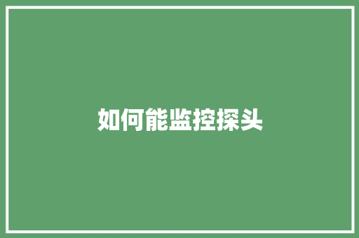 如何能监控探头
