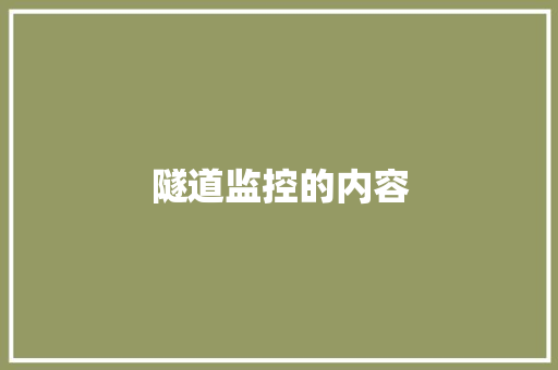 隧道监控的内容 隧道监控的内容 互联通信