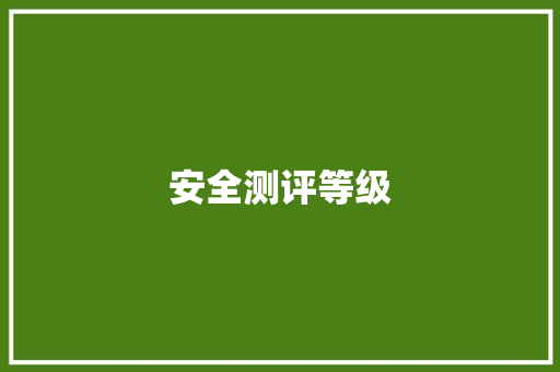 安全测评等级 安全测评等级 智能科技